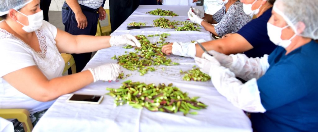Kınalı Bamya Artık Resmen Bornova’lı Oldu